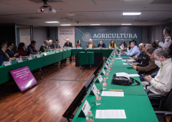 Suman esfuerzos en pro del crecimiento sustentable y ordenado del aguacate