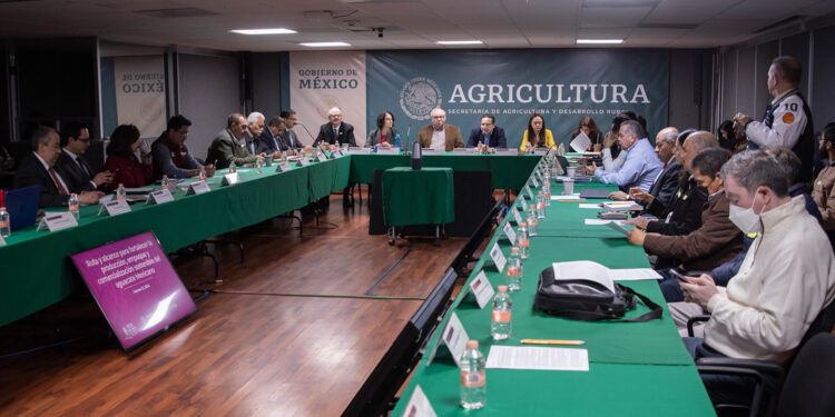 Suman esfuerzos en pro del crecimiento sustentable y ordenado del aguacate