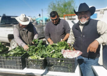 Beneficia brigada “Contigo y con todo” a habitantes de Ampliación Santa Rosa