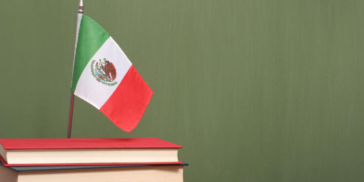 Docentes exponen preocupaciones respecto al sistema educativo mexicano