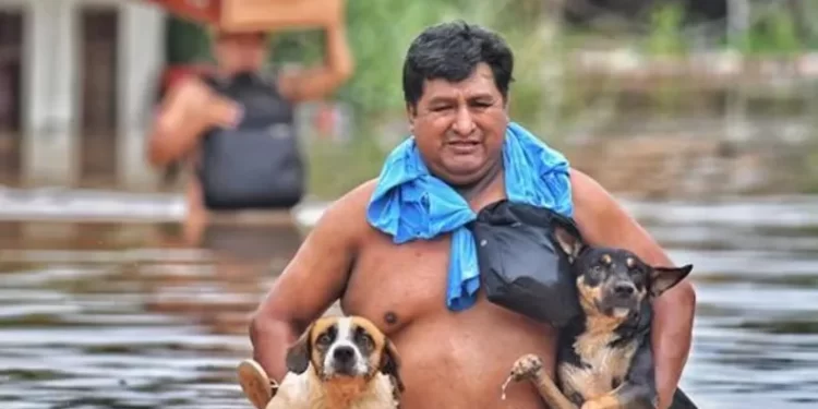 Jóvenes rescatan animales olvidados en las inundaciones en la amazonía de Bolivia