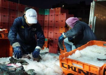 Producen pescadores y acuicultores 26% de la producción anual de pescados y mariscos durante cuaresma