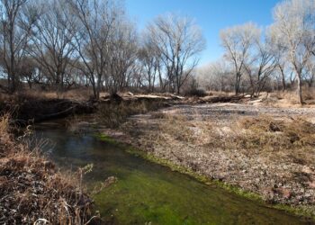 Advierten severa crisis de abasto de agua por bajo nivel de afluentes
