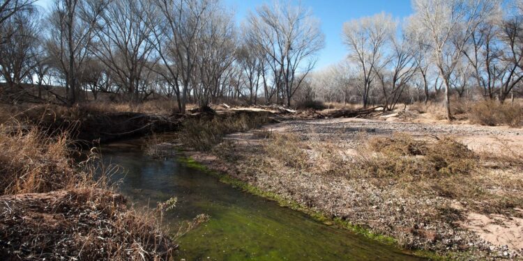 Advierten severa crisis de abasto de agua por bajo nivel de afluentes