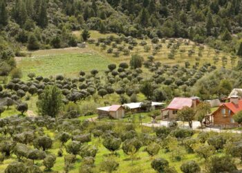 Lo que nos dejan los vacacionistas