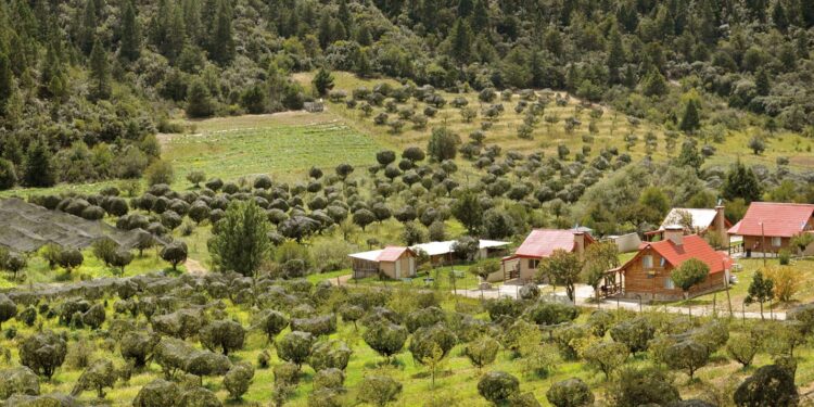 Lo que nos dejan los vacacionistas