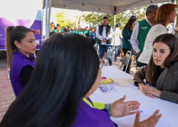 AVANZAN ACCIONES DEL CONSEJO ESTATAL DE SALUD MENTAL