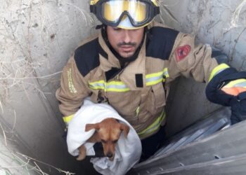 PC y Bomberos de Piedras Negras ‘le entran’ al rescate animal
