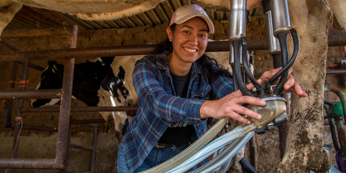 Impacta el sector lechero nacional en el desarrollo agropecuario, la seguridad  alimentaria y la salud nutricional – Campo y Turismo