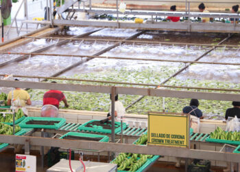 Avanzan México y Estados Unidos en fortalecimiento de la inocuidad alimentaria