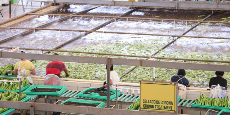 Avanzan México y Estados Unidos en fortalecimiento de la inocuidad alimentaria