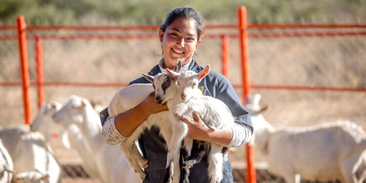 Promoverá Agricultura productos mexicanos en feria agroalimentaria de Hong Kong