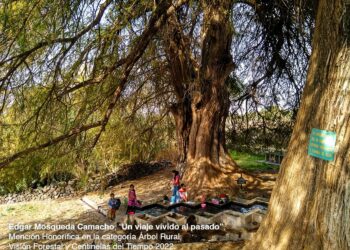 Regresa el concurso de fotografía Centinelas del Tiempo con 270 mil pesos en premios