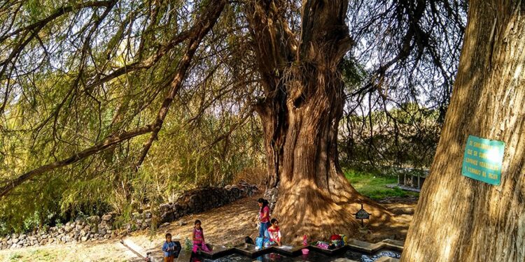 Regresa el concurso de fotografía Centinelas del Tiempo con 270 mil pesos en premios