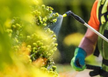 DEBEN AGROQUÍMICOS VERSE COMO “LA MEDICINA DEL CAMPO”: UMFFAAC