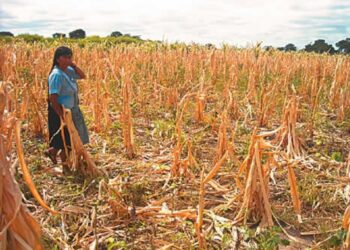 INCAPACIDAD DEL GOBIERNO EN CINCO ELEMENTOS VITALES: AGUA, SEGURIDAD, SALUD, EDUCACIÓN Y EMPLEO, MANTIENEN MALESTAR E IRRITACIÓN ENTRE LA POBLACIÓN NACIONAL