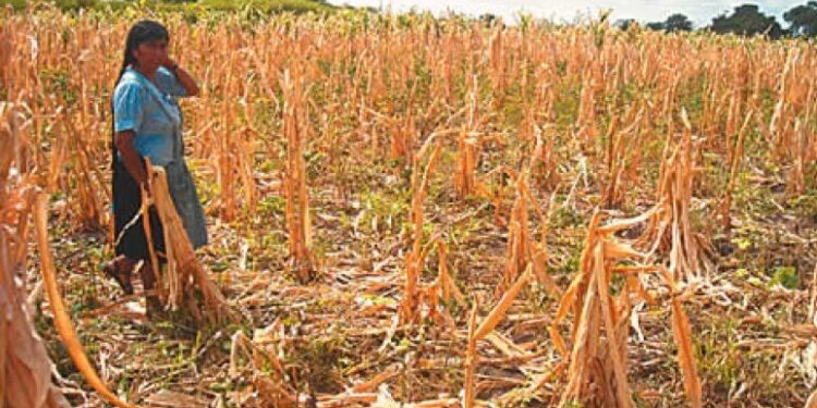 INCAPACIDAD DEL GOBIERNO EN CINCO ELEMENTOS VITALES: AGUA, SEGURIDAD, SALUD, EDUCACIÓN Y EMPLEO, MANTIENEN MALESTAR E IRRITACIÓN ENTRE LA POBLACIÓN NACIONAL