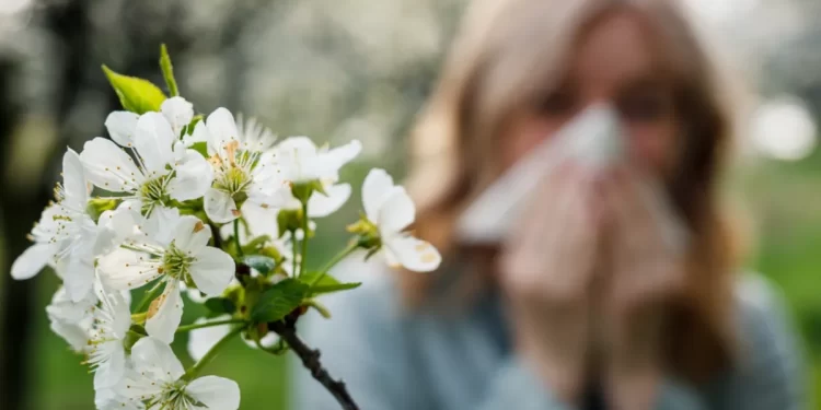 La primavera es la estación que más se asocia con los problemas alérgicos