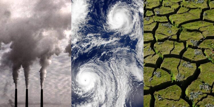 Falta de decisión o interés