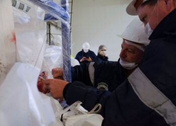 Rechaza México ingreso de mil 463 embarques comerciales de productos agroalimentarios en 2023 (Video)