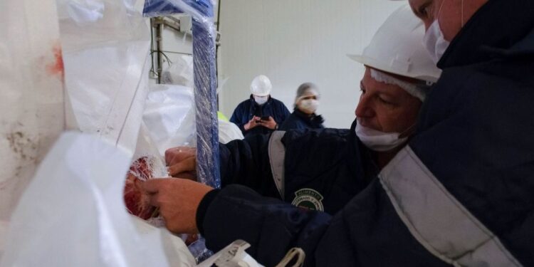 Rechaza México ingreso de mil 463 embarques comerciales de productos agroalimentarios en 2023 (Video)