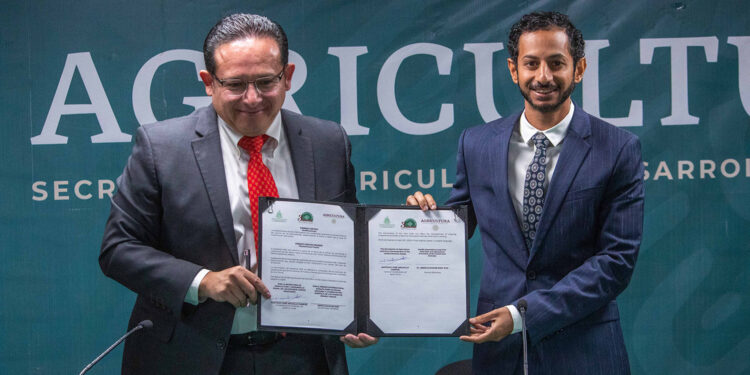 Albergará México por tercer año consecutivo el Festival Internacional de Palma Datilera