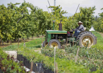 Aumenta 47% superávit de la balanza comercial agroalimentaria de México en primer trimestre del año