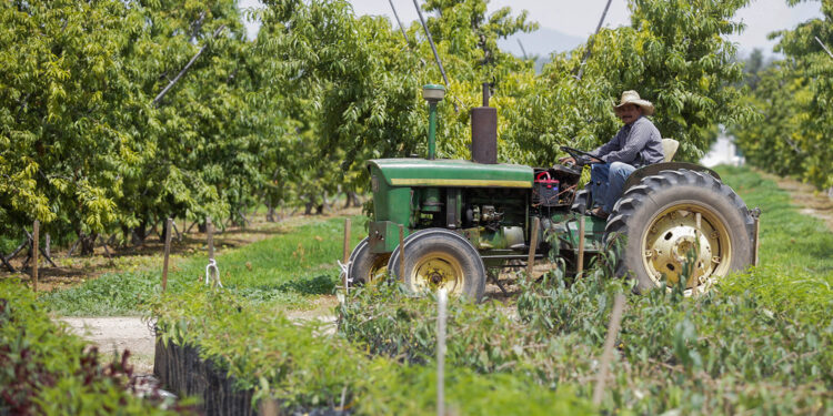 Aumenta 47% superávit de la balanza comercial agroalimentaria de México en primer trimestre del año
