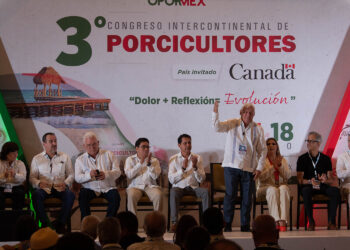 Medidas sanitarias, un modelo exitoso en el sector porcícola: Agricultura