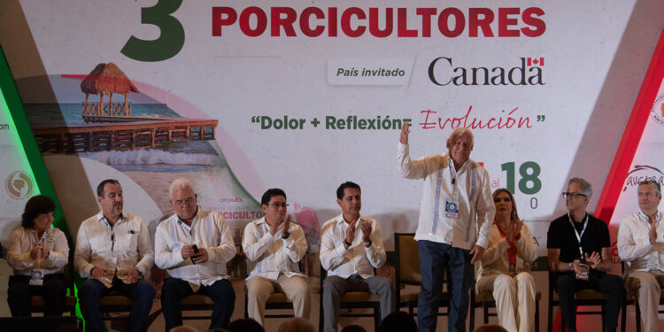 Medidas sanitarias, un modelo exitoso en el sector porcícola: Agricultura