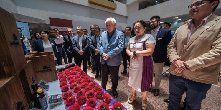 La zarzamora, uno de los cultivos más rentables que ofrece el mejor rostro del campo mexicano: Agricultura