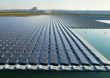 Construirá CFE una Central Solar Flotante de 120 MW