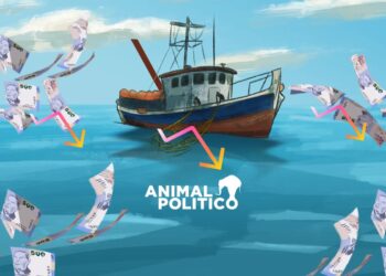 “¿Qué haces con 7 mil 500 pesos al año?”.- el programa Bienpesca de AMLO choca con la realidad de las comunidades pesqueras