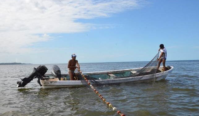 Del anzuelo al plato: fortalecimiento de la pesca sostenible para salvaguardar la biodiversidad marina y la seguridad alimentaria en México