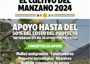 IMPLEMENTA COAHUILA PROGRAMA PARA EL CULTIVO DE MANZANO
