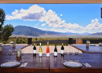 TIENE COAHUILA DE LOS MEJORES VINOS EN EL MUNDO; GANA 19 MEDALLAS EN EL CONCOURS MONDIAL DE BRUXELLES 2024