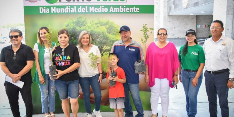 IMPULSAN MUNICIPIO Y RASSINI REFORESTACIÓN DE LA CIUDAD