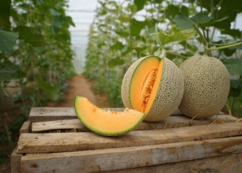 Recomiendan consumir frutas de temporada para prevenir la deshidratación