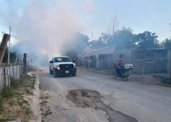 PERMANENTE VIGILANCIA EPIDEMIOLÓGICA POR POSIBLES BROTES DE DENGUE EN EL NORTE DEL ESTADO