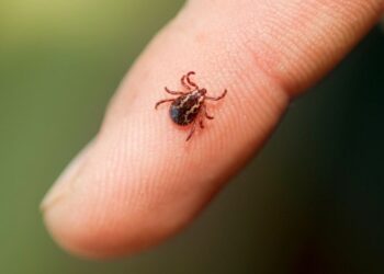 Capacitaran a personal médico para detectar y tratar a pacientes