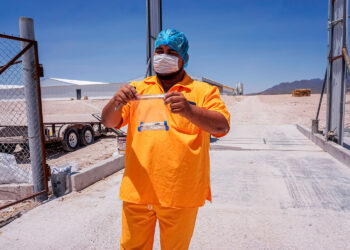 Concluye Agricultura emergencia sanitaria por influenza aviar AH5N1