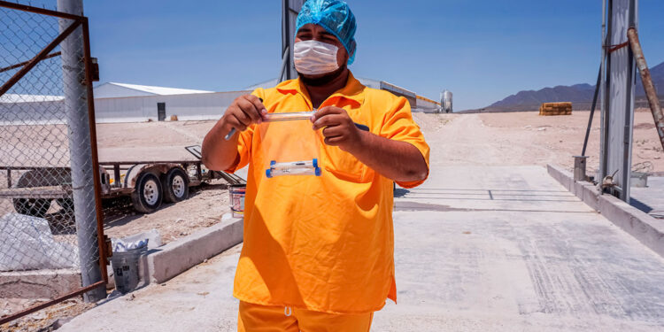 Concluye Agricultura emergencia sanitaria por influenza aviar AH5N1