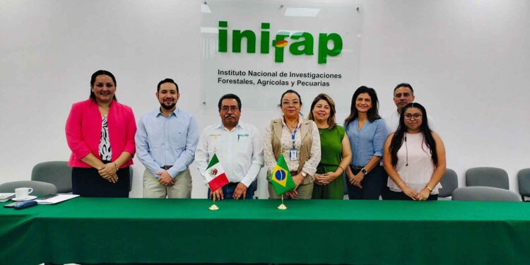México y Brasil impulsarán proyectos científicos y tecnológicos en materia agrícola