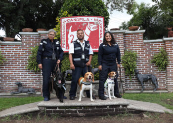 Premian a unidades caninas de Agricultura por su trabajo para detectar productos agroalimentarios de alto riesgo