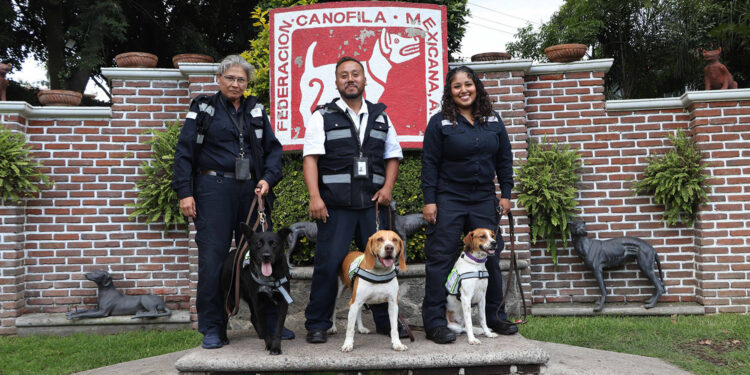 Premian a unidades caninas de Agricultura por su trabajo para detectar productos agroalimentarios de alto riesgo