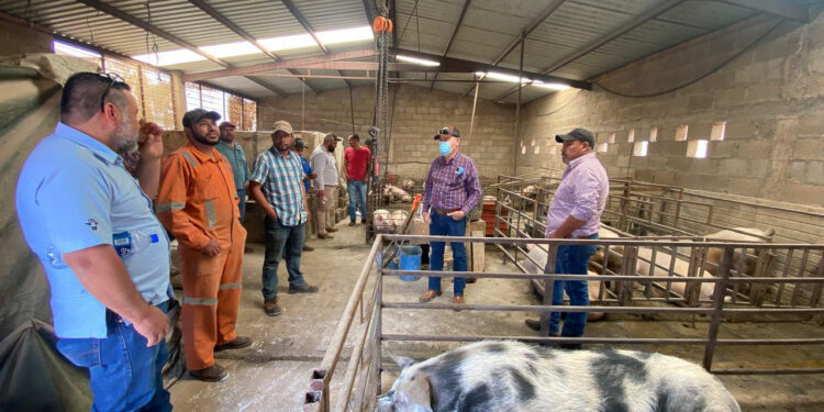 Capacita Agricultura a ganaderos zacatecanos para incrementar su productividad