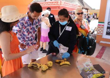 Invita Agricultura a viajeros a informarse sobre alimentos con restricción de ingreso al país