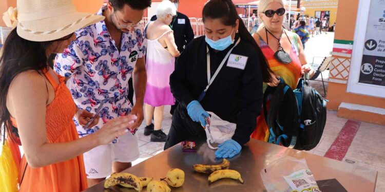 Invita Agricultura a viajeros a informarse sobre alimentos con restricción de ingreso al país