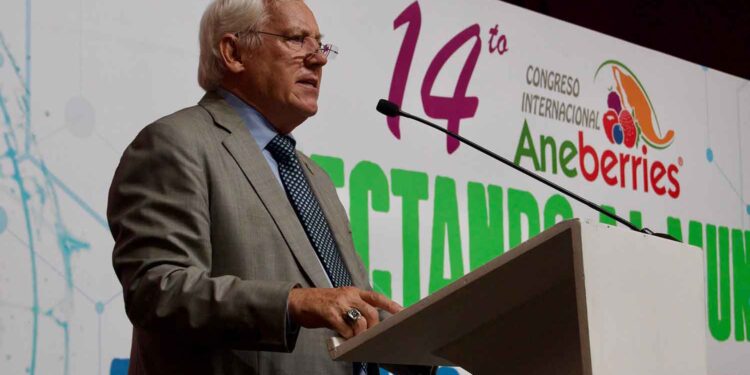 México se posiciona como país altamente productor y exportador de berries