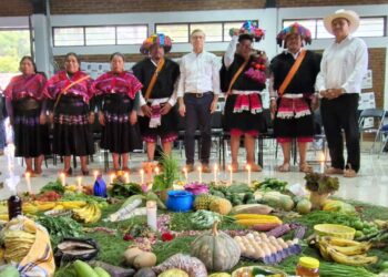 Reconoce Agricultura trabajo de productores y técnicos de Producción para el Bienestar en Chiapas y Oaxaca